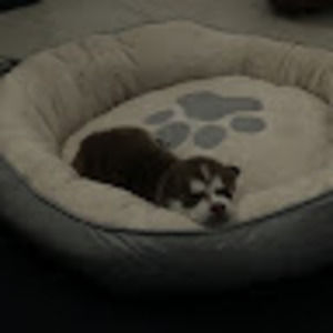 Meet your Posher, Ohmikey